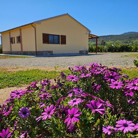 Agriturismo Fusini Мальяно-ин-Тоскана Экстерьер фото