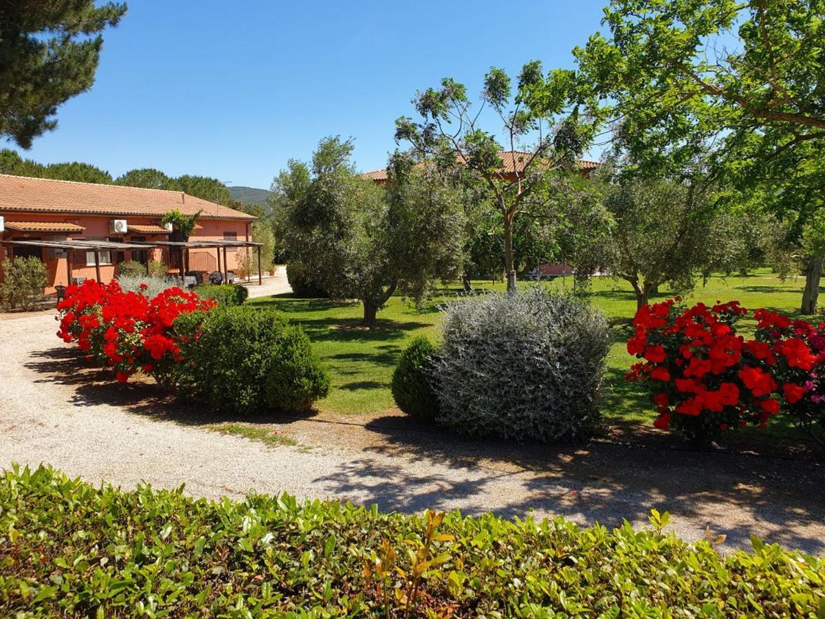 Agriturismo Fusini Мальяно-ин-Тоскана Экстерьер фото