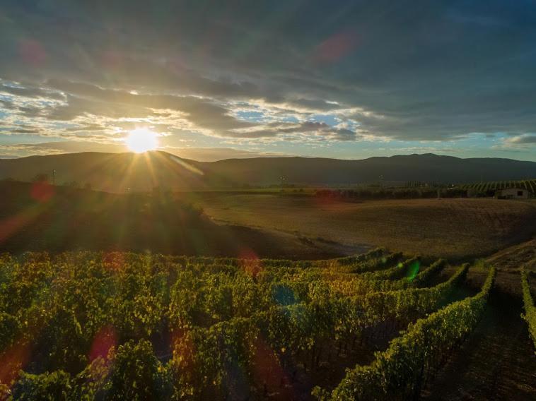 Agriturismo Fusini Мальяно-ин-Тоскана Экстерьер фото
