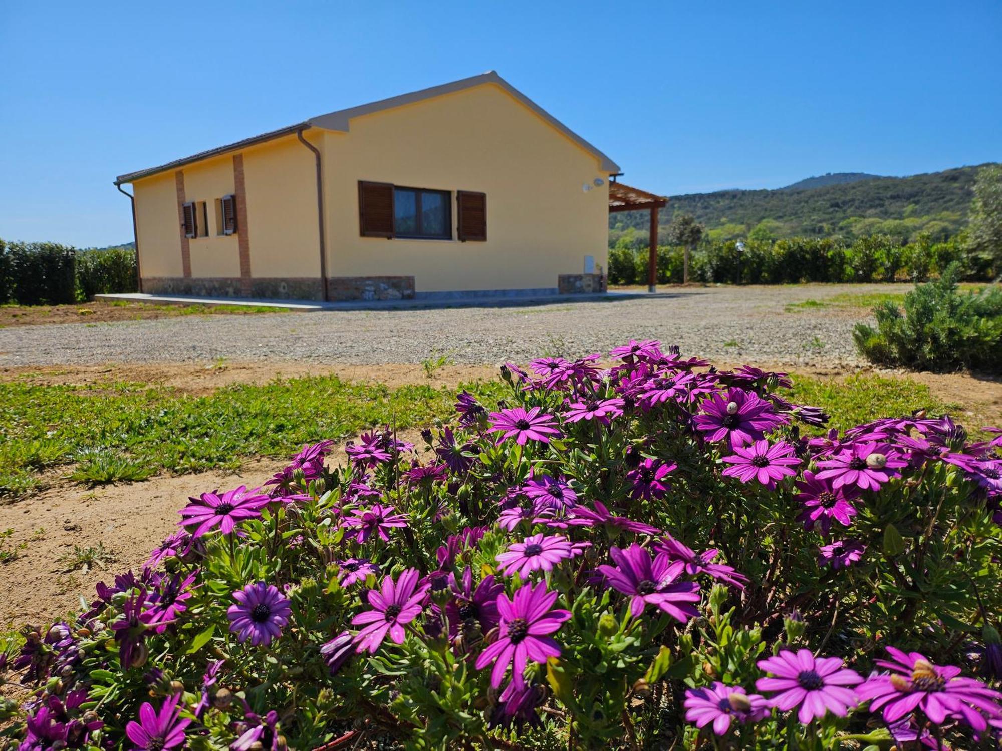Agriturismo Fusini Мальяно-ин-Тоскана Экстерьер фото