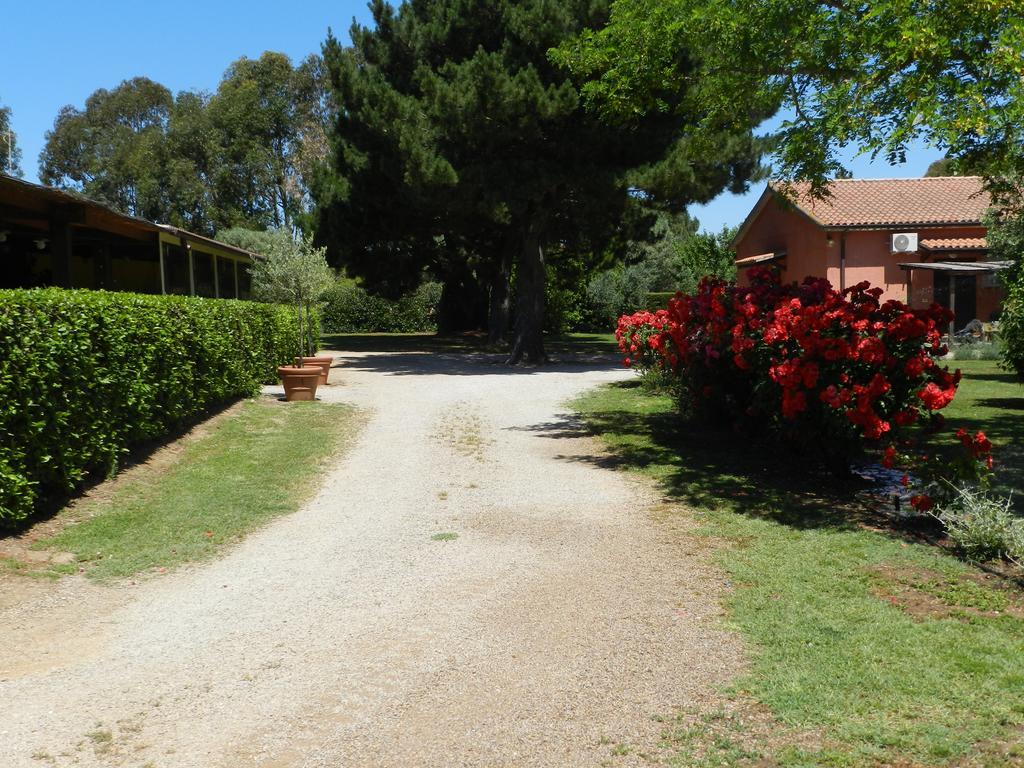 Agriturismo Fusini Мальяно-ин-Тоскана Экстерьер фото