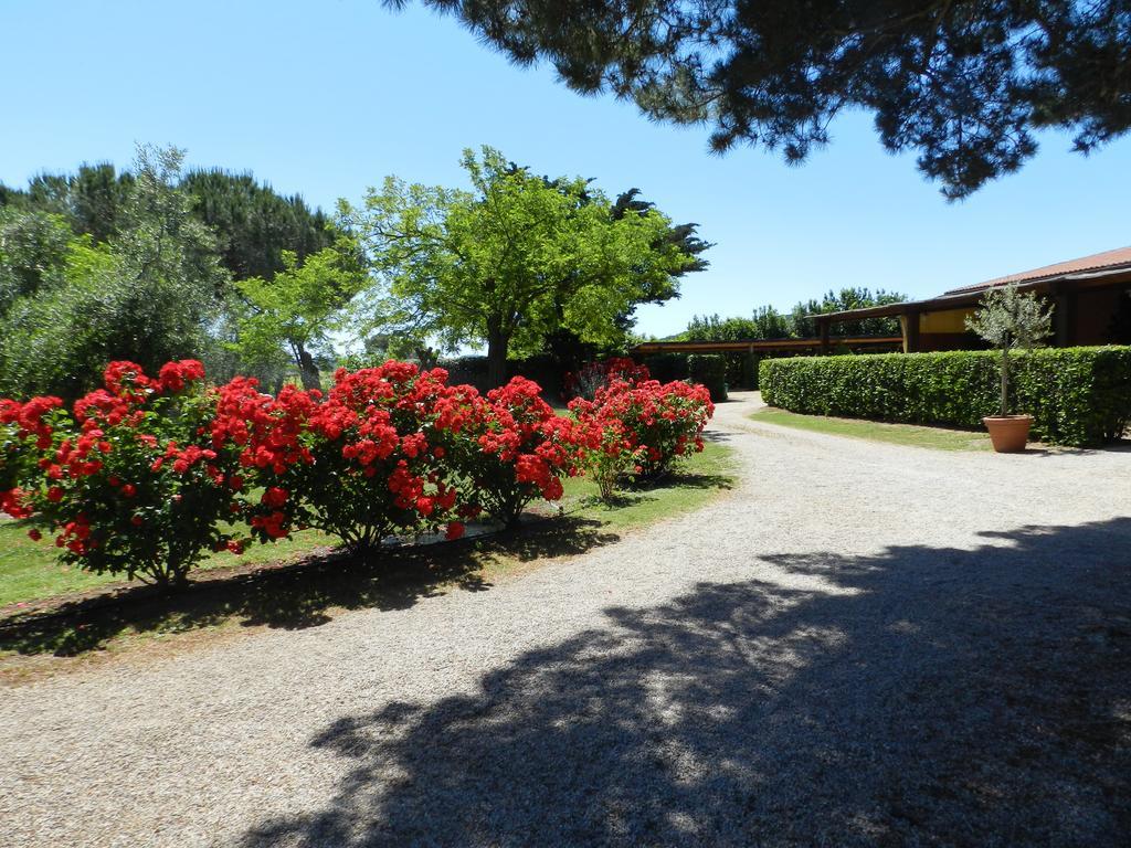 Agriturismo Fusini Мальяно-ин-Тоскана Экстерьер фото