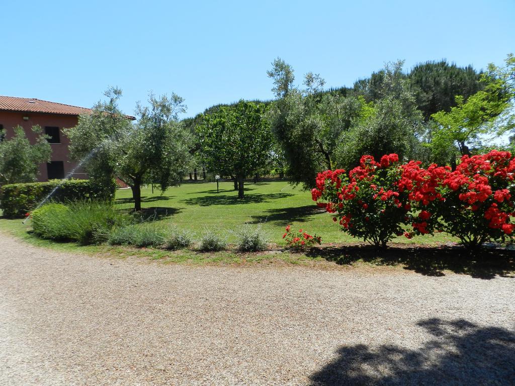 Agriturismo Fusini Мальяно-ин-Тоскана Экстерьер фото