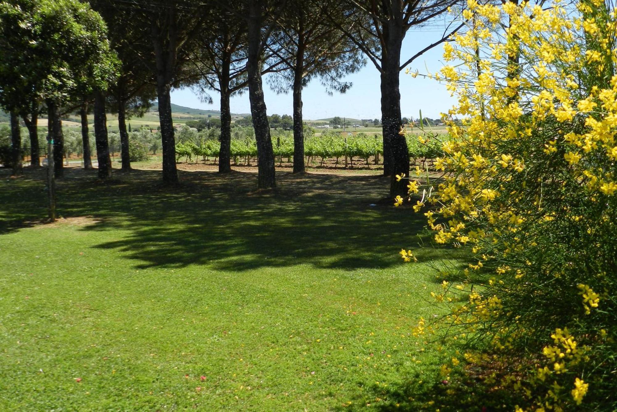Agriturismo Fusini Мальяно-ин-Тоскана Экстерьер фото