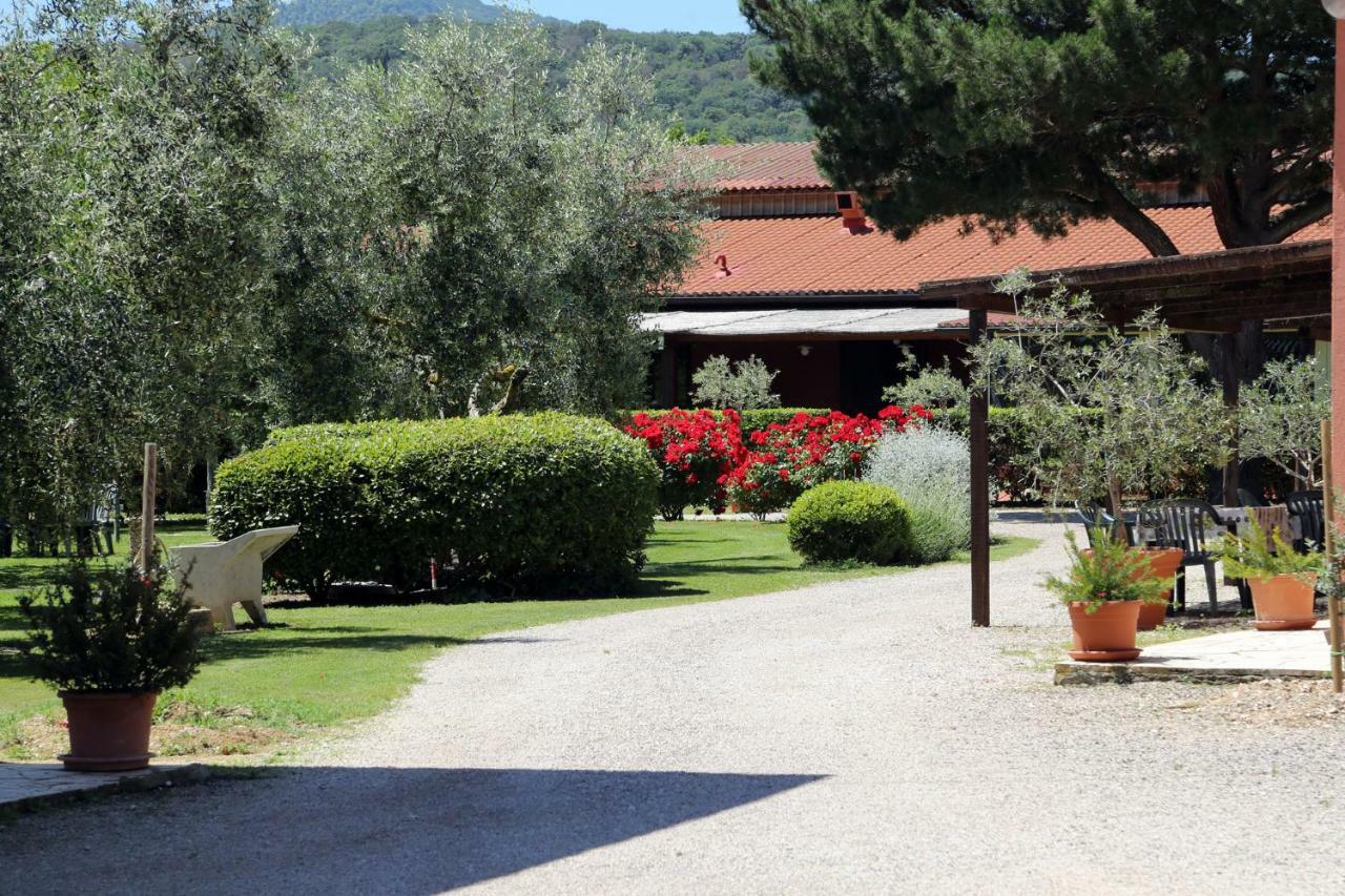 Agriturismo Fusini Мальяно-ин-Тоскана Экстерьер фото