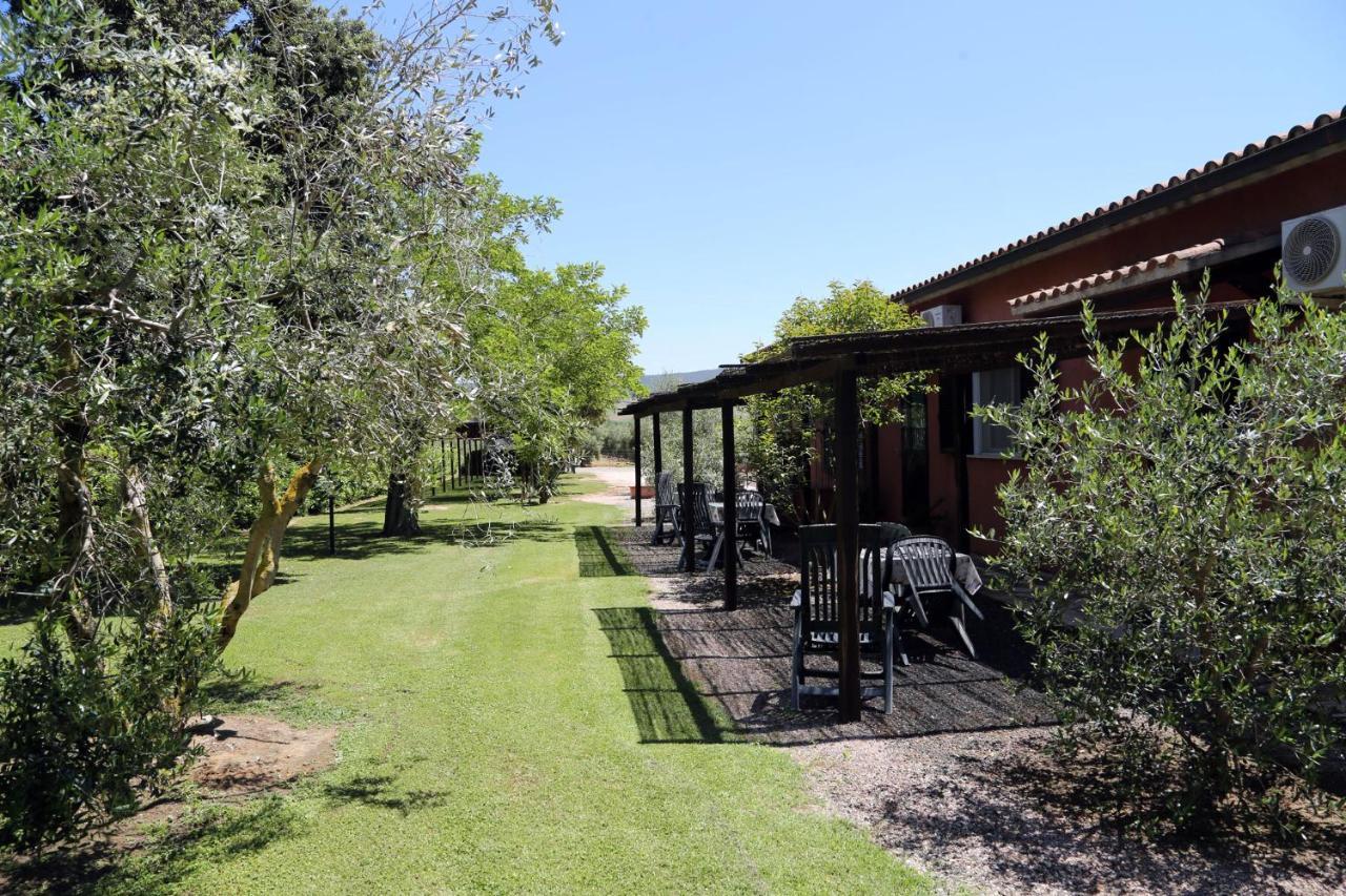 Agriturismo Fusini Мальяно-ин-Тоскана Экстерьер фото